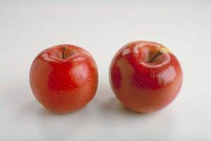 Cera de frutas